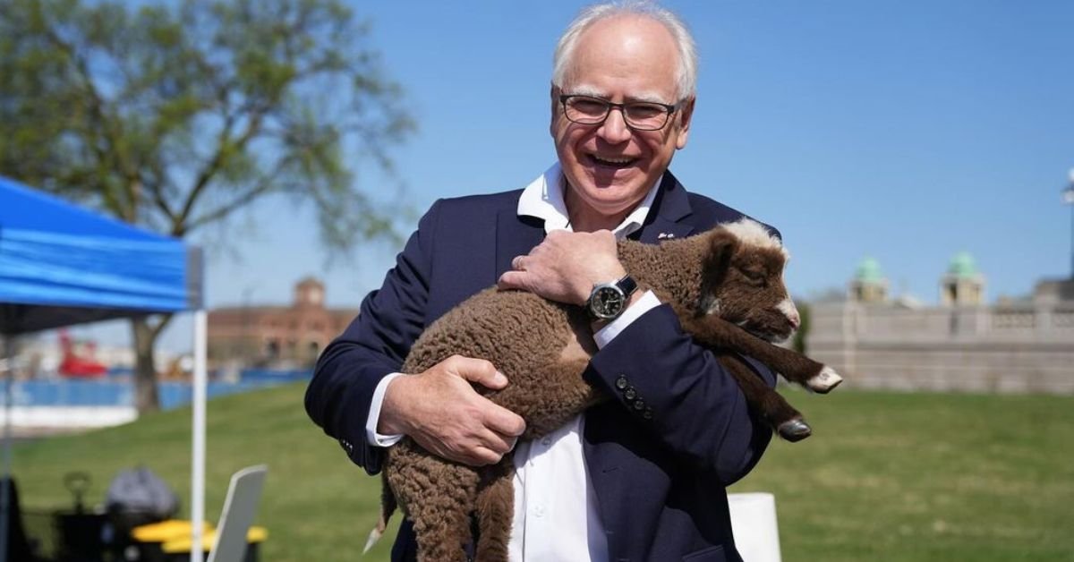 Tim Walz Net Worth 2024 A Detailed Look